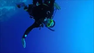 Red sea diving 2017