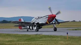 Reading Airshow: P-51 Mustang