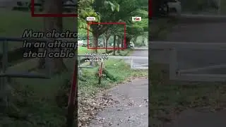 Man electrocuted in an attempt to steal cable