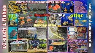 Republic day ka special offers | exotic fishs &  pets shop | aquarium fishes & cat food