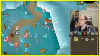 Woox Knew Something was Fishy