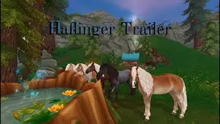 Trailer der Haflinger [Snow Friends ❄️]