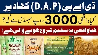 3000 Rupay Ki DAP Subsidy | Kisan Card Walo ke liye Bara Tohaffa? | CM Maryam Nawaz ka Naya Faisla?
