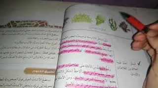 مملكتا الفطريات والطلائعيات | الصف السابع - علوم.
