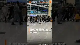 🟠Массовая депортация мигрантов в аэропорту Домодедово