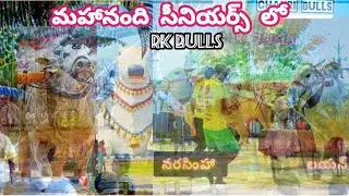 మహానంది మహాసంగ్రామంలో 2వజత RK BULLS Distance 1611 feets డ్రాప్ 