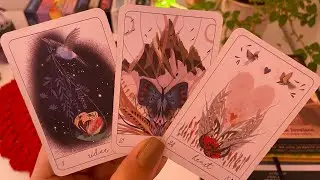 O DESTINO TRAZ ALGUÉM DE VOLTA🌹🔮🫵🏻