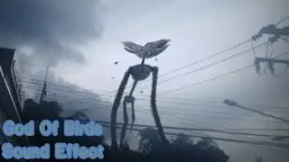 God Of Birds Sound Effect