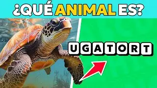 ¿Qué Animal Es? Adivina El Animal Con Letras Desordenadas 🦁