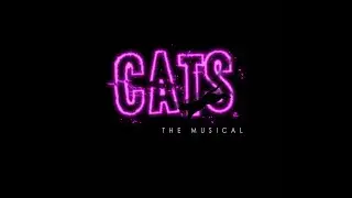 CATS The Musical Behind the Scenes of the Make Up Room