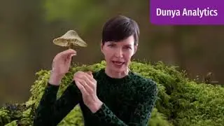 Voluntary Nature Reporting Explained: Frameworks, Standards, Regulations