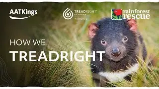 AAT Kings | How We Tread Right So We MAKE TRAVEL MATTER&reg;