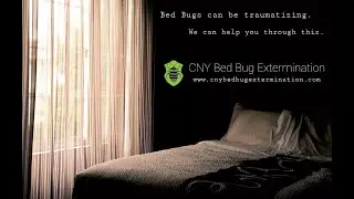 CNY Bed Bug Extermination - Local, Family Owned Bed Bug Extermination Company  -607.591.4563
