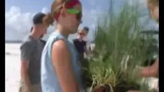 WWF Climate Witness