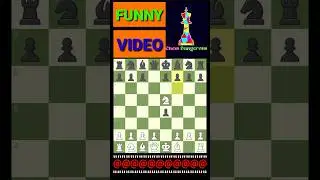 How to play chess for beginners. Chessdangerous. #shorts #chess