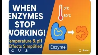 Biology Experiment: Temperature and pH Effect on Enzymes | Easy Biology Tutorial