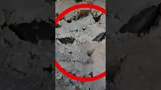 Why does it look like a cat 😂 #funny #adventure #climbing #hiking #outdoors #hike #ruins #explore