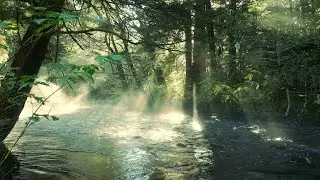 432Hz Healing Frequency 🌿 Waterfall in Nature | Deep Relaxation, Sleep & Peace