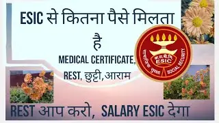 ESIC से कितना पैसे मिलता है! Medical certificate,Rest, छुट्टी का पैसा