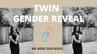 Twin Gender Reveal Ultrasound| 15 weeks twin pregnancy vlog