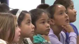 Library Stories Demo