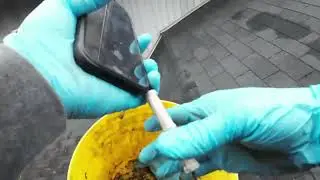 Windows and eaves Cleaning