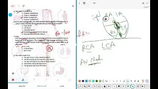 CVS ANATOMY MCQs 1 B