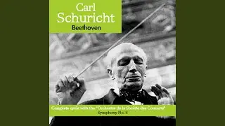 Ludwig Van Beethoven : Symphony No.8 - IV. Allegro vivace