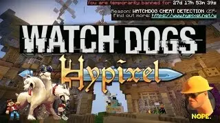 Minecraft: 