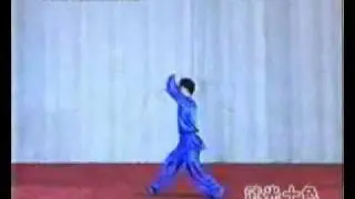 basic gunshu 4