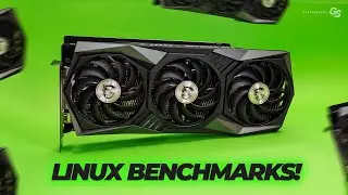 MSI RTX 3080 GAMING X TRIO: LINUX vs WINDOWS + Addressing Bots, Stock and Scalping