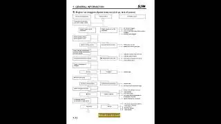 SYM JOYRIDE 125 150 200 Service Manual PDF Download - Complete Repair