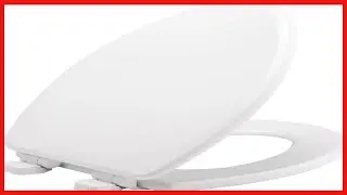 Why the Mayfair Toilet Seat Is the Upgrade Your Bathroom Needs