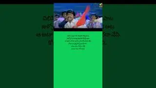 Dongaata Movie Song | SP Balu, Chitra | Jagapathi Babu, Soundarya | #songlyrics #ytshorts