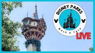 LIVE! From Magic Kingdom: Stroll the Day Away