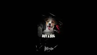CAPTIN CC -  BUY A DOG (OFFICIAL AUDIO)