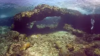 Dive 501: Sandy Channel Hawaii HI 360 VR