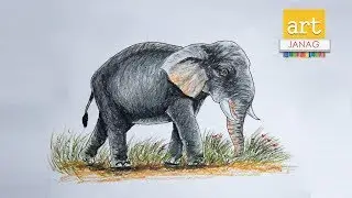 How to Draw an Elephant II Wild animal Drawings  II  Art JanaG