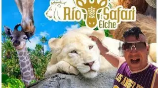 🌴🦓R&iacute;o Safari🐊🦧 Elche - UN MUNDO POR DESCUBRIR Diversi&oacute;n Y Aventura En 360