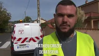 Op&eacute;ration de d&eacute;ratisation