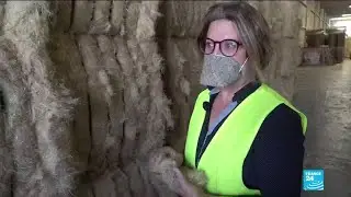 Covid-19 : un masque fran&ccedil;ais biod&eacute;gradable &agrave; base de chanvre pour r&eacute;duire la pollution plastique