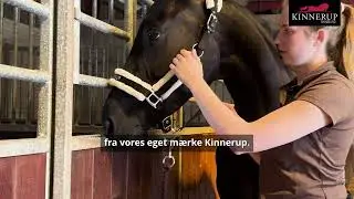 Kinnerup hos Kinnerup by H&oslash;jlund