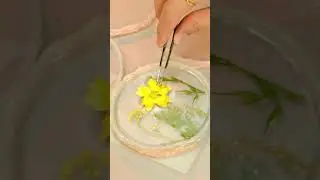 #diy #short #resin #petsmart #resincoasters #resinart #DIY #fyp #resinprocess #r