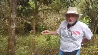 Plant life of the Galapagos Islands Ecuador