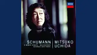Schumann: Im Herbste