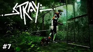 I Had To Leave Her😭 | Stray