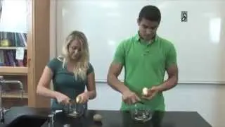 Food Science Experiments: Hand Washing and Food Safety (Accessible Preview)