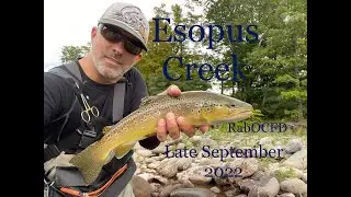Esopus Creek Late Sept 2022