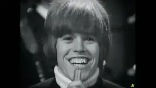 Herman's Hermits - Something's Happening (Stereo)