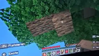 Minecraft hardcore geht schief.):